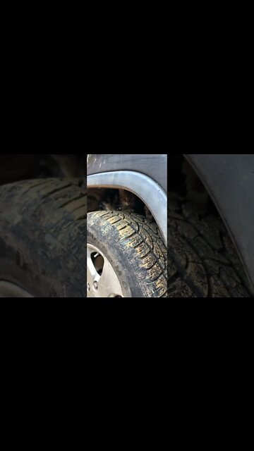 Found a feral kitten on our property. Hiding in the car engine.