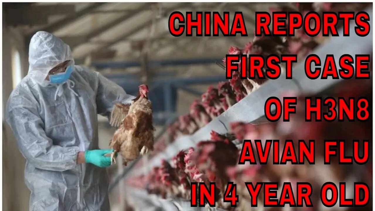 4 Year Old Boy Infected With 1st Case of H3N8 Bird Flu #preppertalk #birdflu #h3n8