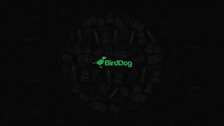 Thursday BirdDog Support Chat - Live with BirdDogJon!