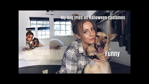 My DOG tries on Gifair halloween costumes *FUNNY* | daisykeech