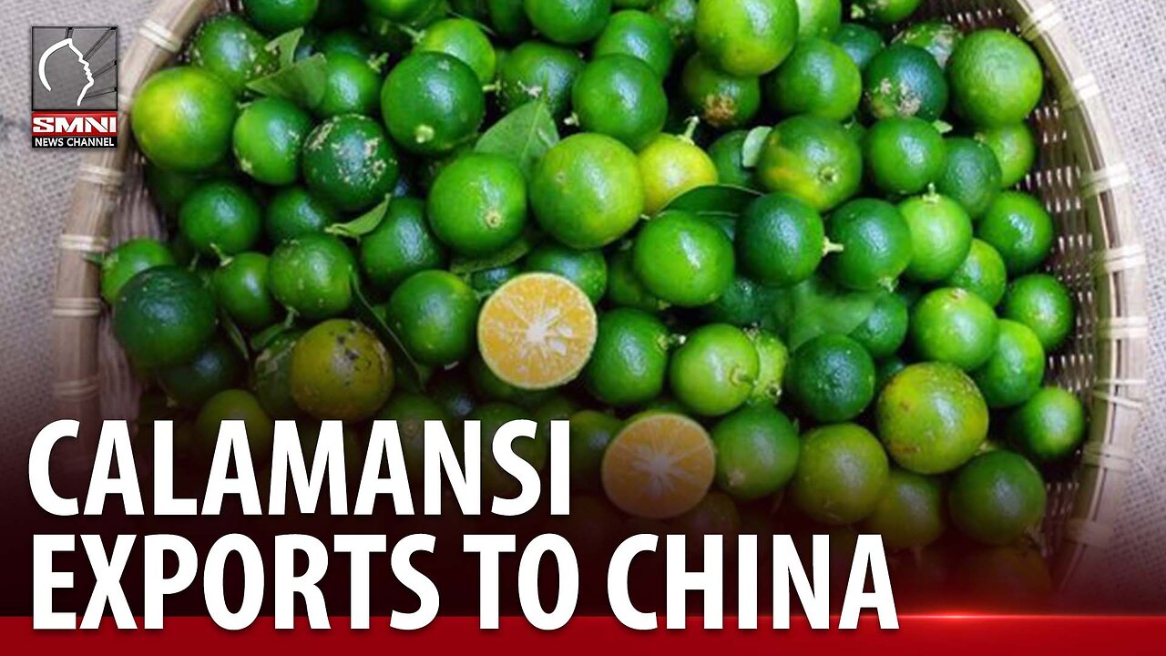 WATCH | PH envoy to China reveals that they are working on potential calamansi exports