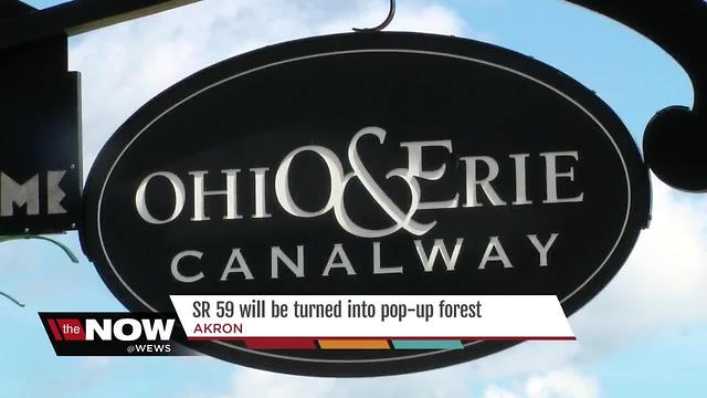 'Pop-up forest' coming to unused highway in Akron