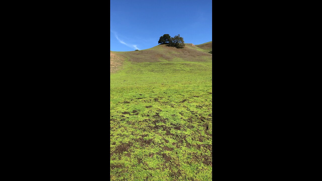 Briones Regional Park Seasonally Green