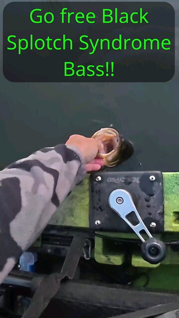 Black Splotch Syndrome Bass AKA Melonosis!