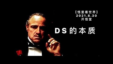 【直】 KWT2377-DS的本质20210830-1【悟里看世界】