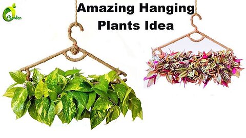 Easy Hanging Planter Making With Waste Materials/ Hanging Plant Idea For Home/Plants/ORGANIC GARDEN