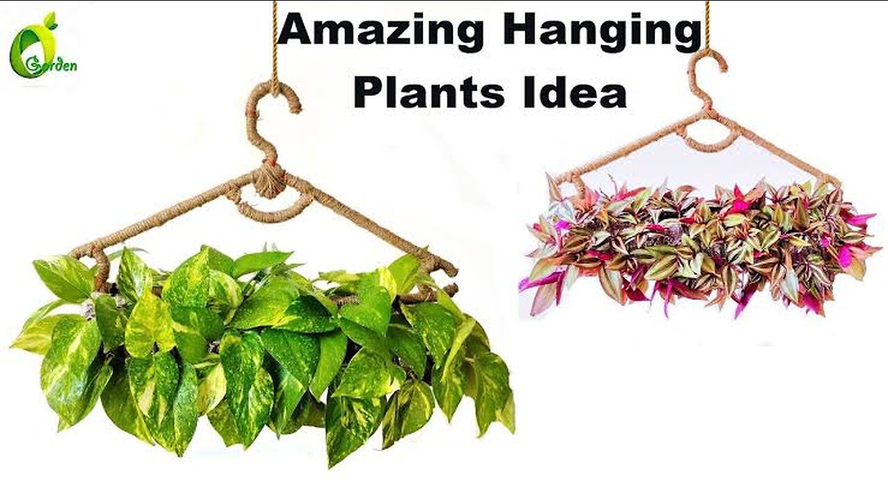 Easy Hanging Planter Making With Waste Materials/ Hanging Plant Idea For Home/Plants/ORGANIC GARDEN