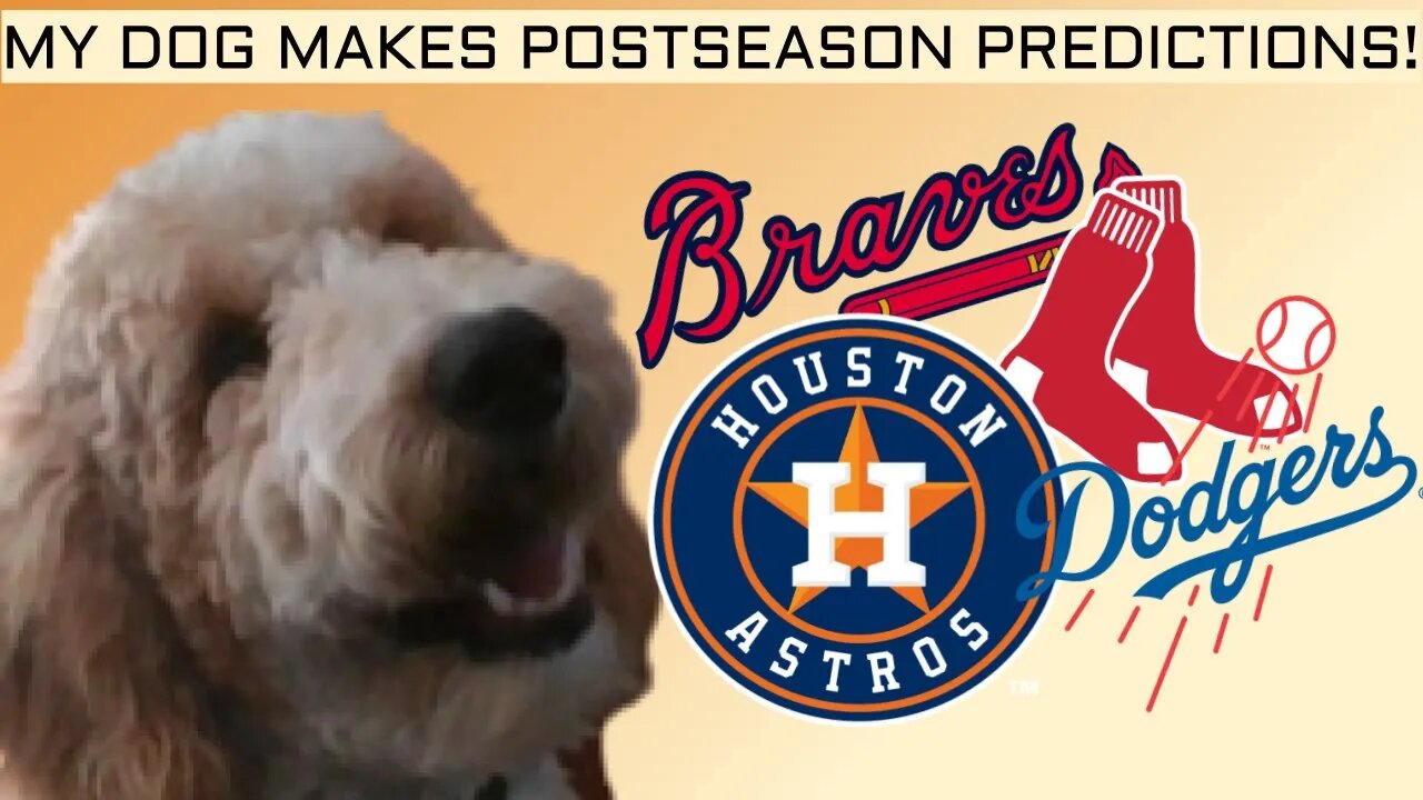 MY DOG MAKES MLB POSTSEASON PREDICTIONS!!