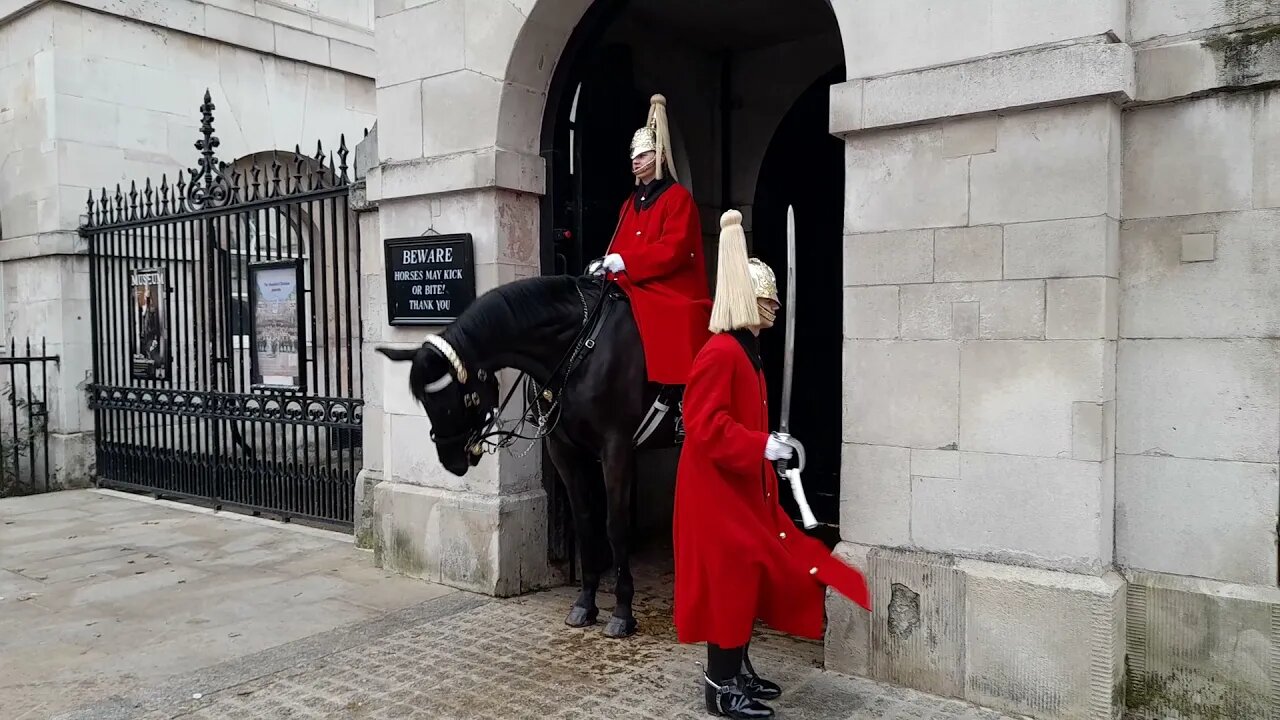 queens guard #horseguardsparade