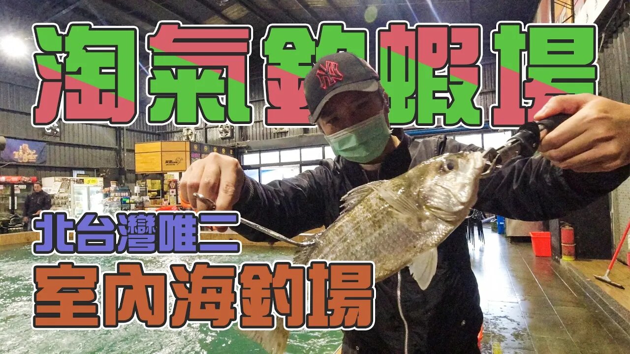 【台客去釣魚】北台灣唯二的室內海水魚池！挑戰用蝦竿力拼海水魚 feat.淘氣釣蝦場