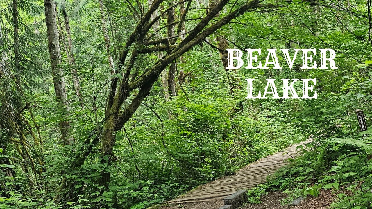 Beaver Lake Trail at Lord Hill Regional Park