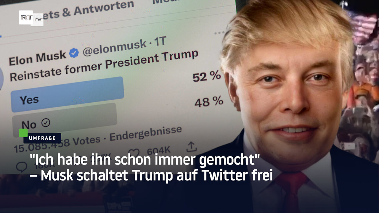 "Ich habe ihn schon immer gemocht" – Musk schaltet Trump auf Twitter frei