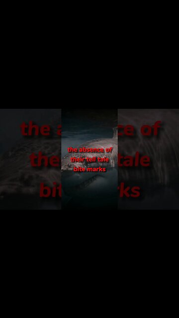 Discovering the Untold Secrets of Megalodon: Are They Secretly Lurking in the Deep?