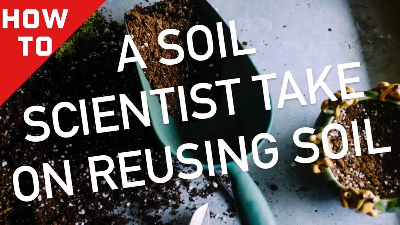 How To Reuse Potting Soil From Last Year With A Soil Scientist | Gardening In Canada 🌿