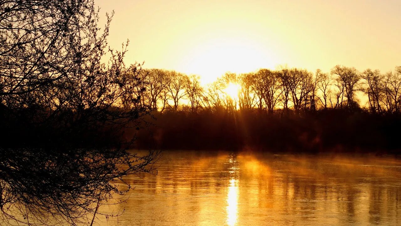 River Sleep Sounds White Noise | Nature Audio for Sleeping, Relaxing, Stress Reli Wildlife in Russia