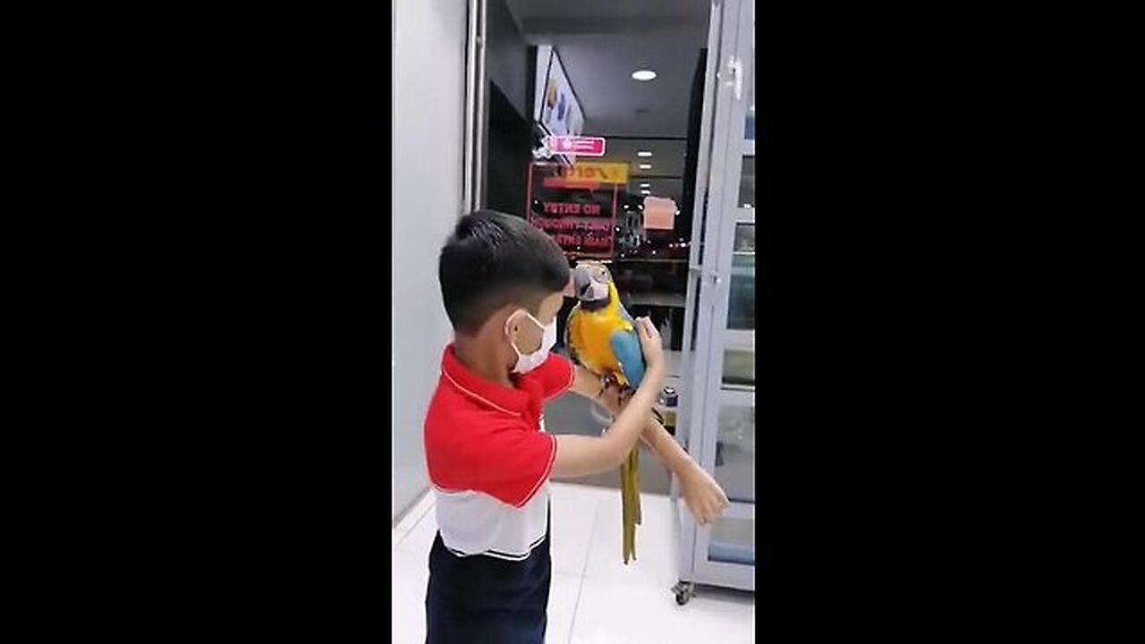 THE BOY HAND BEAUTY FULL BIRDS 😍😍