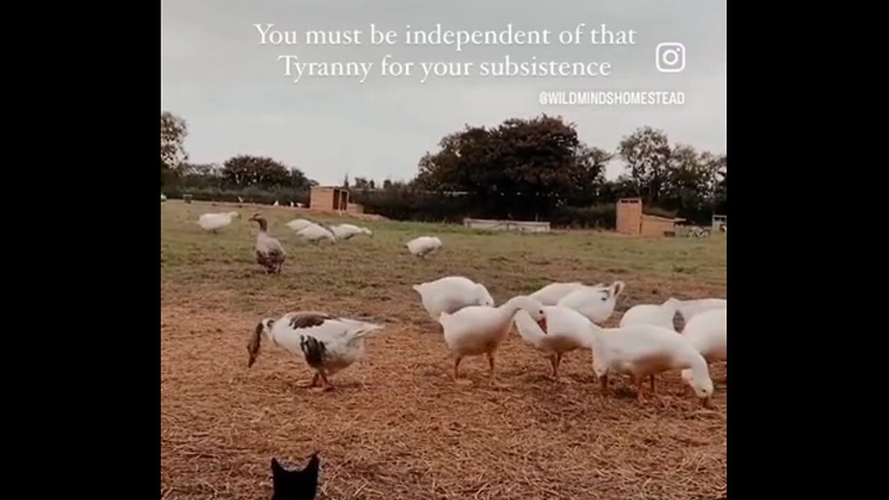 To Resist A Tyranny You Have To Be Independent From It For Your Subsistance