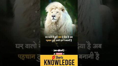 Motivational Quotes Intresting Facts lifestyle #shorts #ytshorts #motivation #knowledge