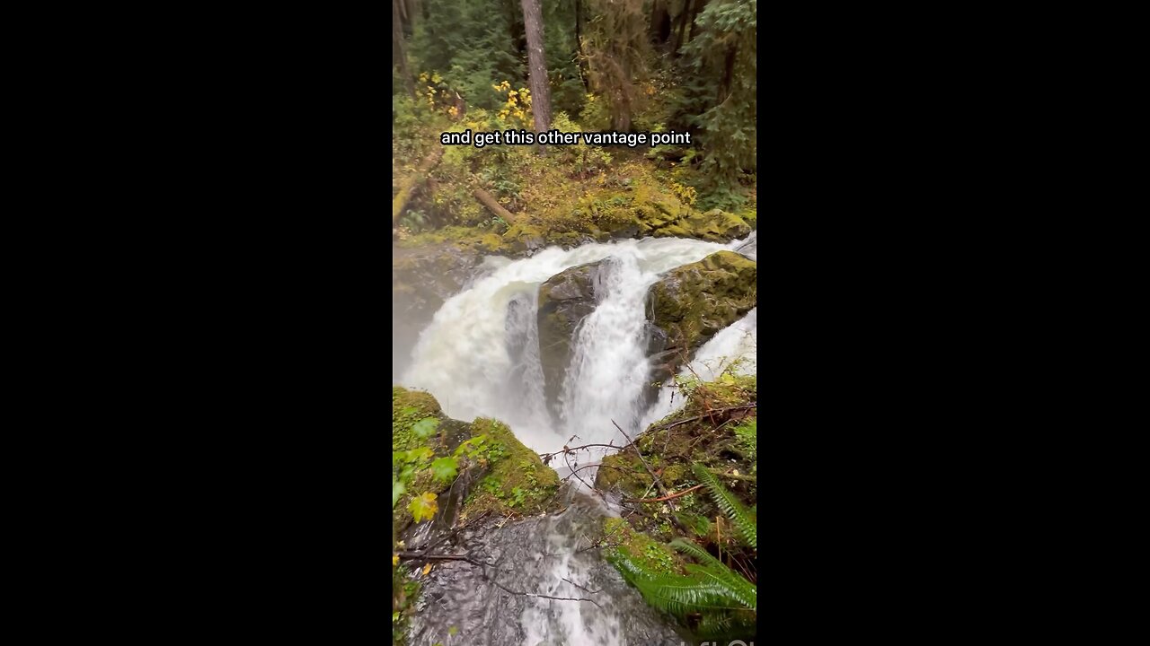 Sol Duc Falls #hiking #explore #forest