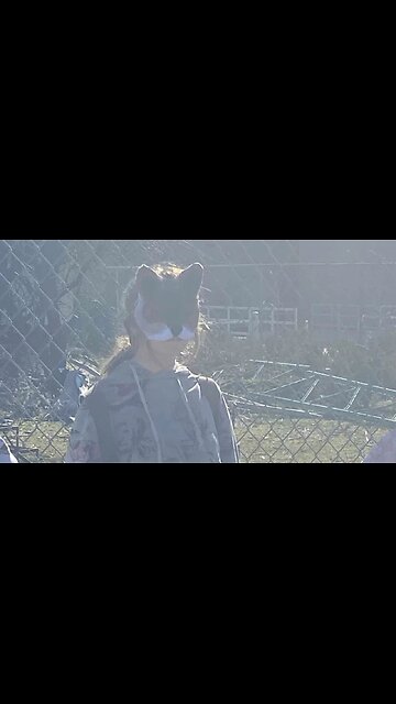 Legal Analyst "Fact-Checks" Utah Furries Story By Blindly Accepting School District's Canned Denial