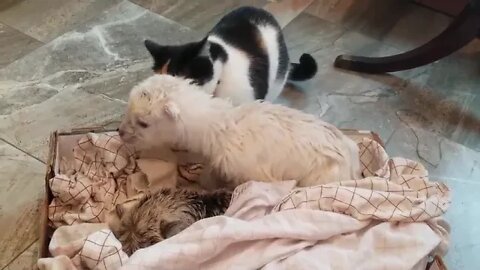 . There isn't a choice. You're getting a bath