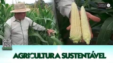 Agricultura Sustentável - com Frederico Olivi