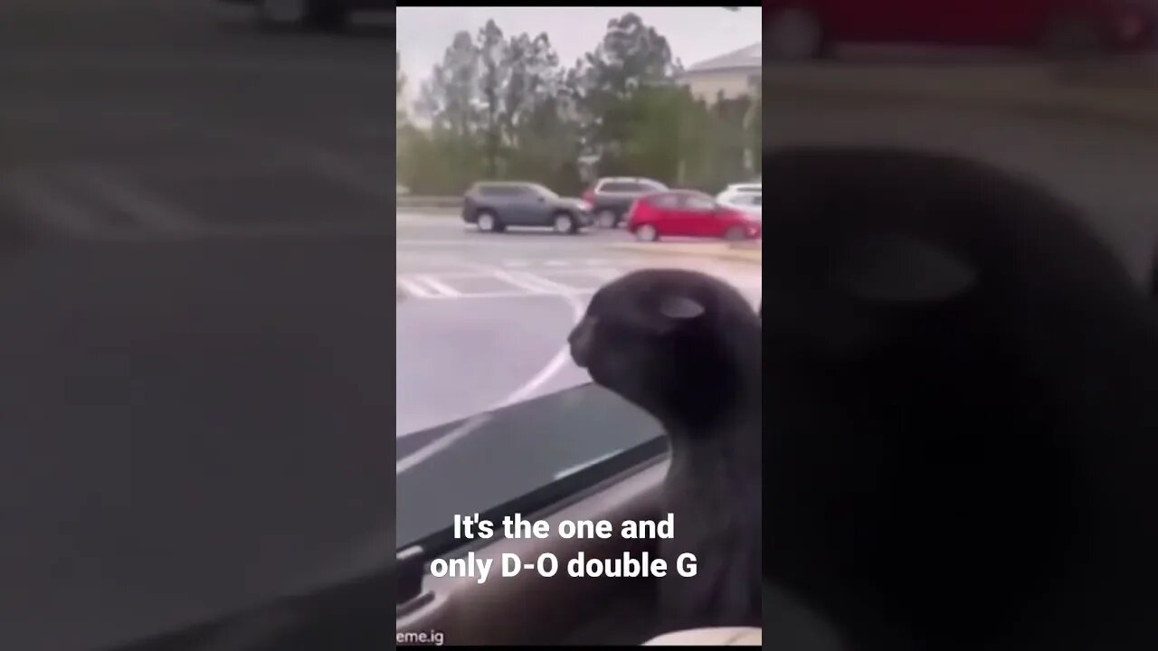 MEME is the one and only D-O double G #shorts