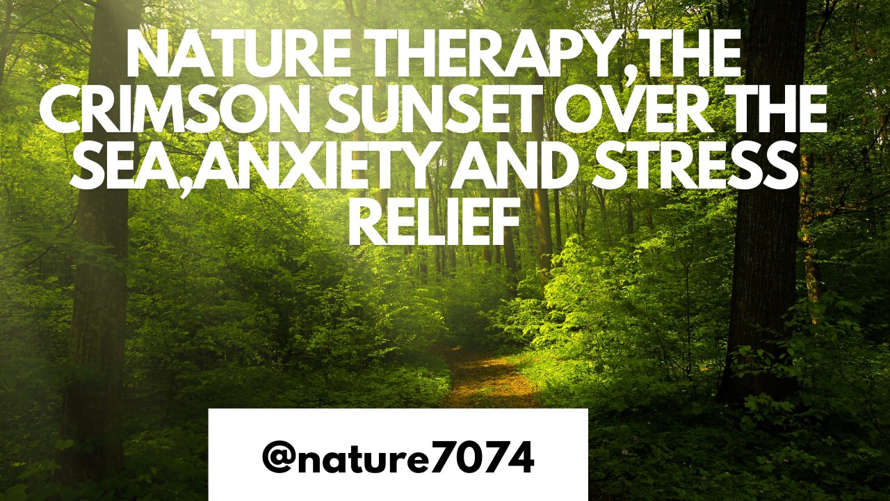 Nature Therapy - The Crimson Sunset Over The Sea - Anxiety and Stress Relief