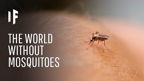 What If We Killed All Mosquitoes?