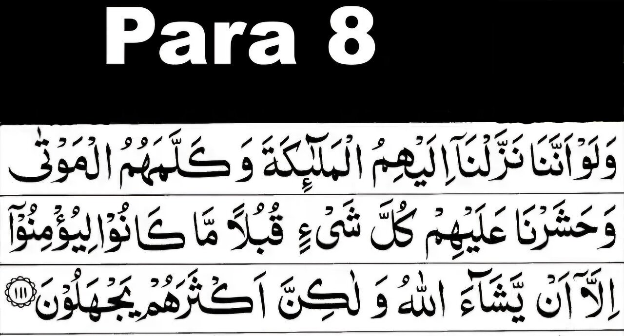 Quran Recitation Para 08/30 full