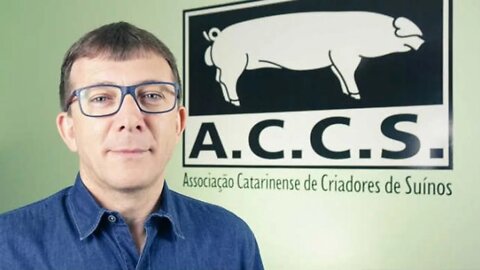 Canadá libera importação de carne suína do Brasil