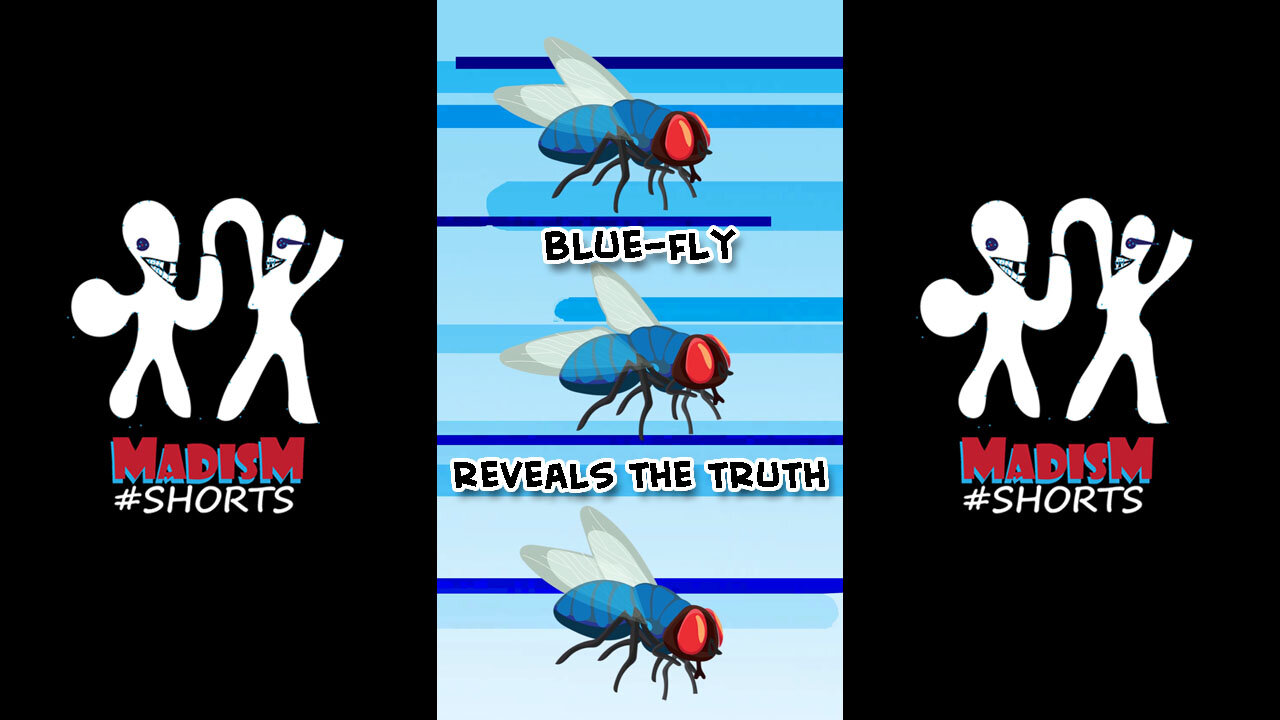 blue-fly reveals the truth