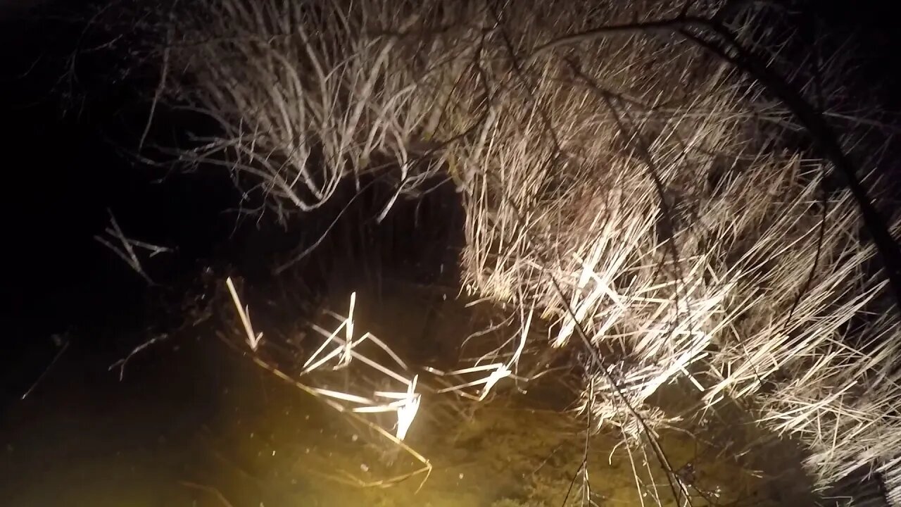 wisconsin bowfishing spring 2020, quick lake test