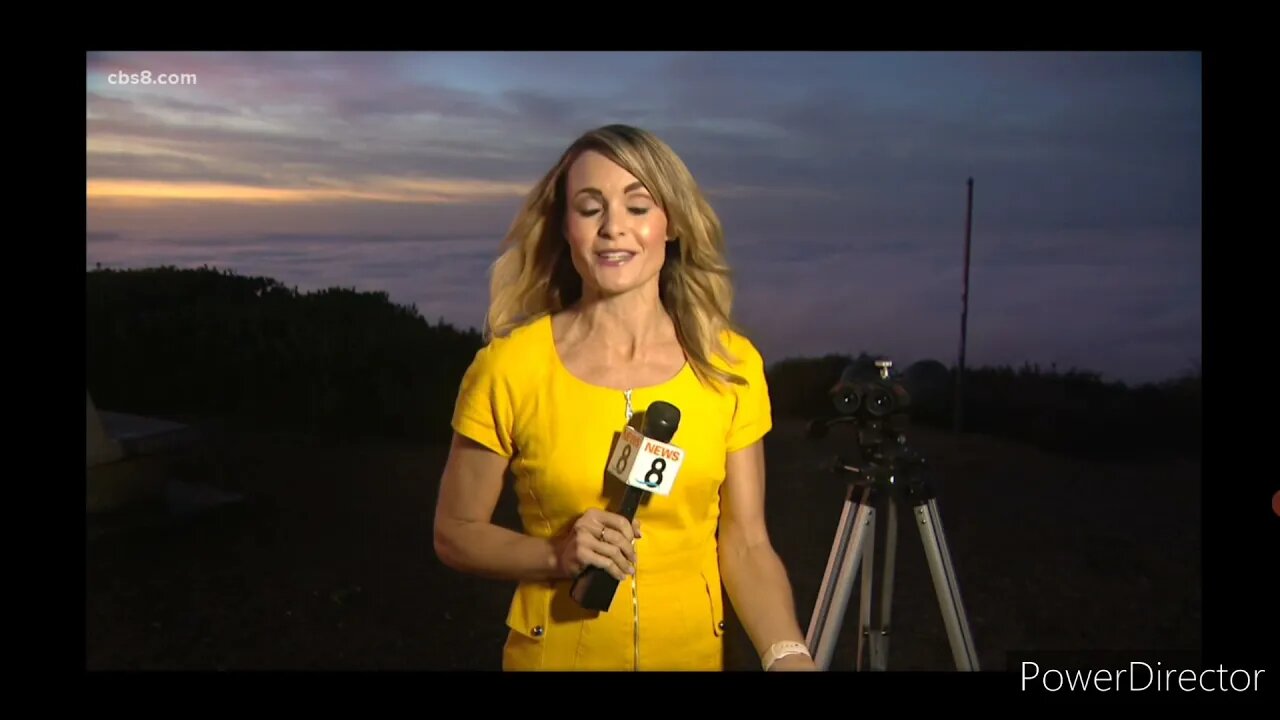 Cargo Ships Back-Up 👀