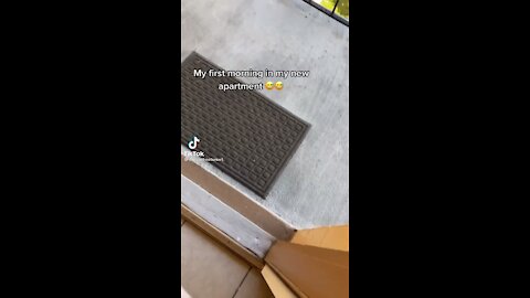Racist Karen Tells a Jamaican women to go back to where she came from