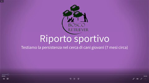 Testiamo la persistenza nella ricerca con cani giovani (7mesi)