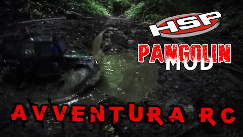 Avventura RC - HSP Pangolin moddato in esplorazione con HG P401