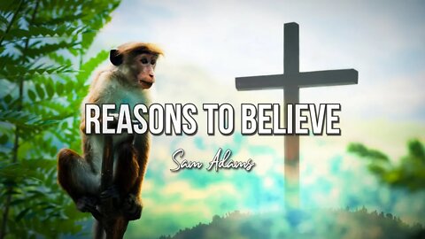 Sam Adams - Reasons To Believe