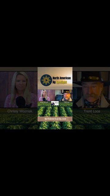 #shorts Stop talking about red counties and blue counties