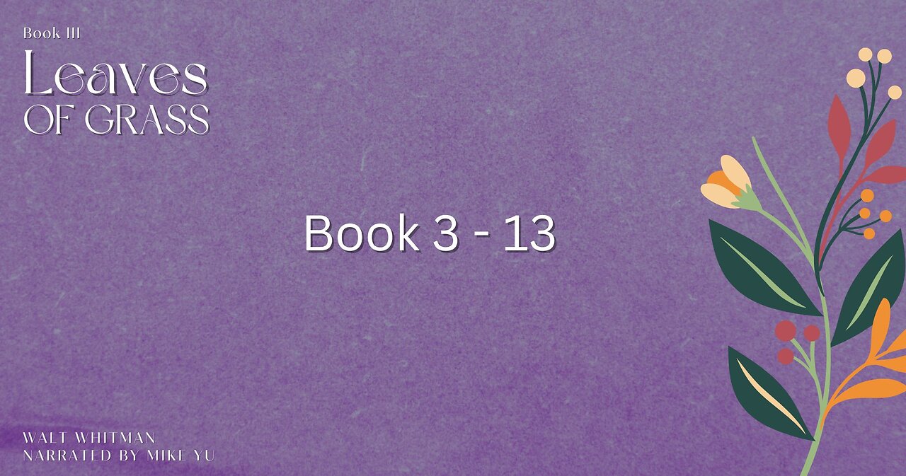 Leaves of Grass - Book 3.13 - Walt Whitman