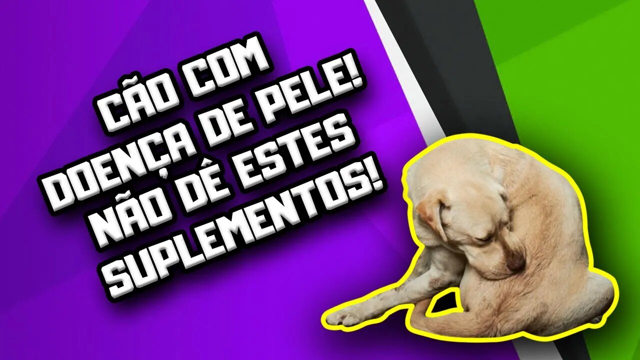 Suplementos que Cães com Doença de Pele NÃO PODEM receber | Dr. Edgard | Alimentação natural Cães