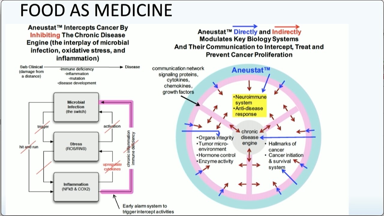 Dr. Judy Mikovits | "Food Is Medicine. We Can Break The Cycle Of Disease."