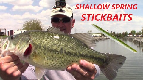 SHALLOW SPRING STICKBAITS