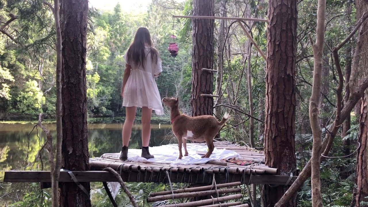 Summer Days in the Rainforest: Building a Bamboo Treehouse!