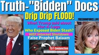 Truth about Biden Docs, Mar-a-Lago, WEF Internet Shutdown, Balaam 1-15-23