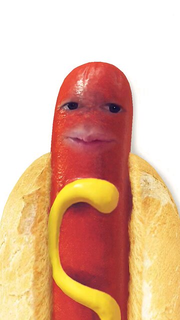 I'm a hot dog 🌭
