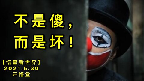 KWT1827不是傻，而是坏！20210530-13【悟里看世界】