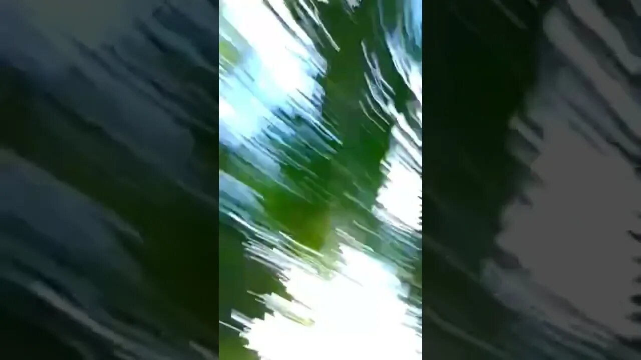 THE HELL WAS HE THINKING LMFAO