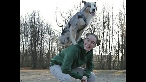 Dog And Girl Playing The Field