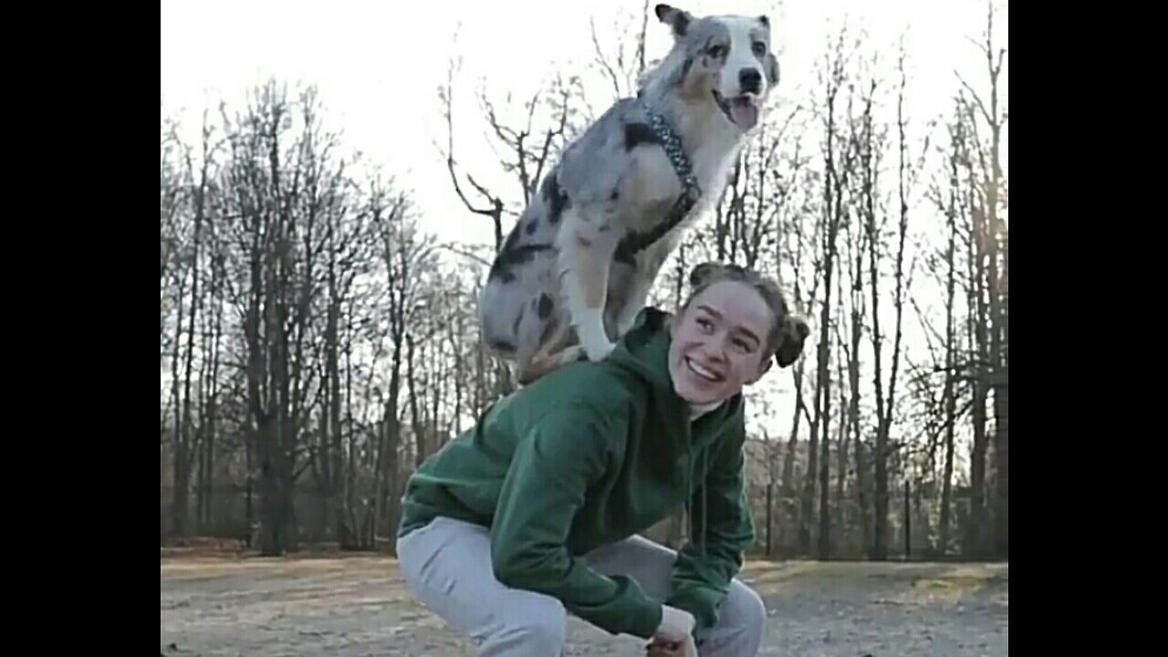 Dog And Girl Playing The Field